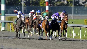 Making Money Betting the Favorite in El Camino Real Derby