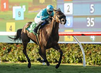 Making Waves: Another Serving Of Dolce At Del Mar