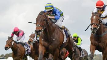 Makram must win Geelong Cup to earn Melbourne Cup penalty