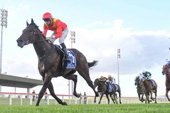 Makybe Stakes Day preview