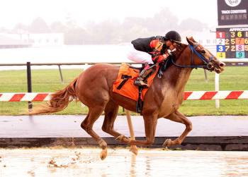 Malibu Moonshine steps out and up in Md. Juvenile Fillies