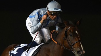 Man On The Spot: Free preview and tips for Meydan including Group 2 Al Maktoum Challenge