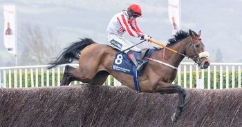 Man who took bookies to the cleaners during Cheltenham Festival tips 40/1 shot to outrun odds in Gold Cup