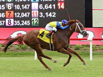 Marathoner Red Knight Wins Colonial Cup Off Lengthy Layoff