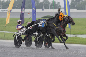 Mare beats male rivals in $250,000 Miecuna Trot