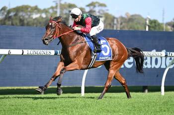 Mariamia dominates all in market for the Millie Fox Stakes