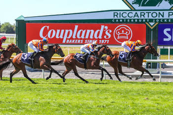 Mark Walker Armed With Strong Trio In Matamata Breeders' Stakes