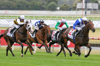 Massive interest this weekend on a G1 Underwood Stakes day
