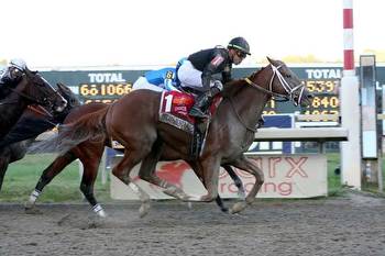 Math Wizard pays off in Pennsylvania Derby at Parx