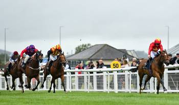 Matt Chapman: Highfield Princess is the winning lottery ticket we all dream of... she's the public's horse of the year