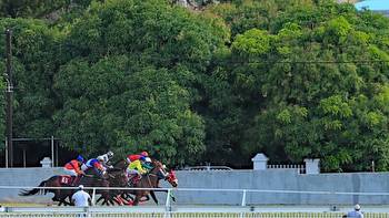 Mauritius’s Historic Horse Racing Scene, Explained