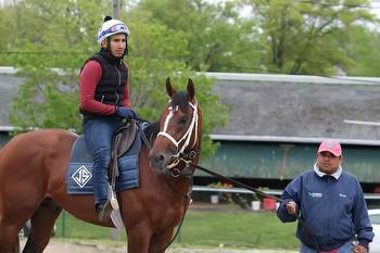 Maximum Security, disqualified from the Kentucky Derby, is the Haskell favorite