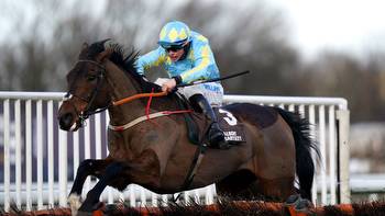 McConnell excited by Mahler Mission's Coral Gold Cup claims