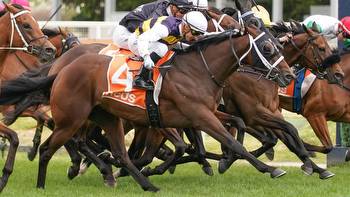McEvoy finds replacement for Duais in Sydney Cup