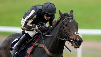 McFabulous taken out at Chepstow as officials water chase course overnight