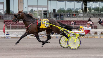 Meadowlands Pace eliminations preview