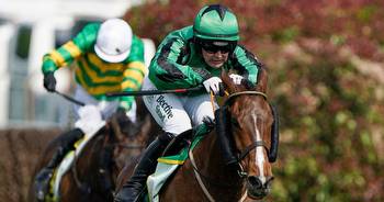 Meet the £800 horse going for Cheltenham Gold Cup glory after conquering America