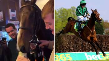 Meet the Guinness-drinking horse who will cause chaos in the Cheltenham Festival pubs if he wins the Gold Cup