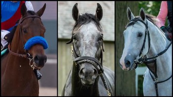 Meet the Racehorses for the 2023 Longines Breeders’ Cup Classic