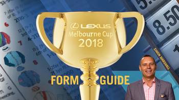 Melbourne Cup 2018 form guide: horses, tips, live odds, field, who will win, favourites at Flemington