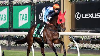 Melbourne Cup 2022 betting strategy, odds: This is how an expert bets