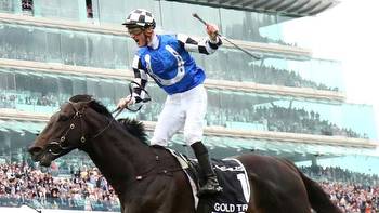 Melbourne Cup 2022: expert tips, betting predictions, who will win, favourites, analysis, Francesca Cumani, news