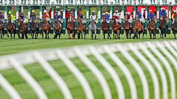 Melbourne Cup 2022 final field, horses, runners, numbers, odds, who is the favourite, barrier draw