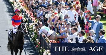 Melbourne Cup 2022: Horses, time, tickets, odds, sweep, field, form guide