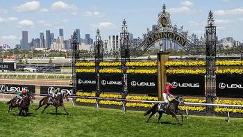 Melbourne Cup 2022: Use Our Trends To Find Flemington Winner