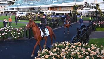 Melbourne Cup 2023 barrier draw live stream, start time, results, what time is it, full field, horses, barriers