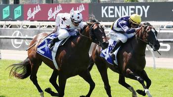 Melbourne Cup 2023: Fox Sports, tips, who will win, horses, field, analysis, latest, news