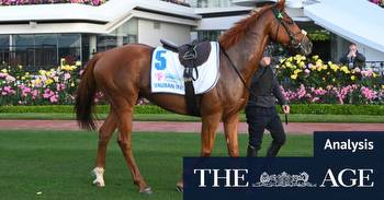 Melbourne Cup 2023: How to read the Cup form, and the five best bets for Cup Day