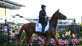 Melbourne Cup 2023: odds, big bets, who is the favourite?, where is the money going?, bookies’ tips, Vauban