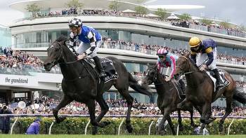 Melbourne Cup 2023: Order of entry, field, weights, horses, Gold Trip, odds, who is the favourite, who will win, reaction