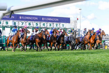Melbourne Cup 2023 Predicted Finishing Order