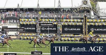 Melbourne Cup 2023: Racing Victoria wants field finalised earlier to bump up betting