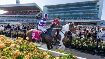 Melbourne Cup 2023 weather, forecast, track conditions, how is the turf, Flemington Racecourse updates, latest news