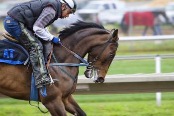 Melbourne Cup betting tips: Our predictions for the 2022 race