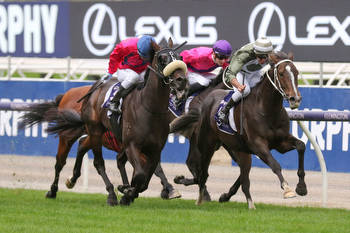 Melbourne Cup Carnival Country Final horse sensationally backed