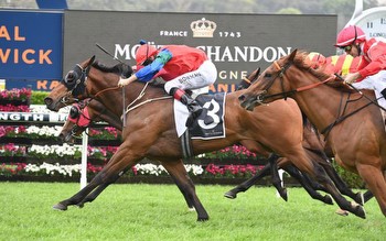 Melbourne Cup contender ruled out of the Spring