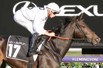 Melbourne Cup contenders step out in the Moonee Valley Cup