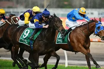 Melbourne Cup Day Tips