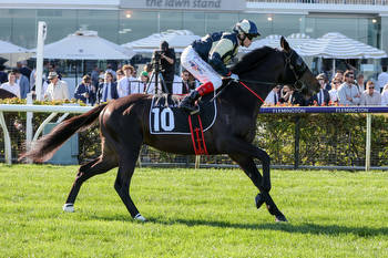 Melbourne Cup fancy a likely Moonee Valley starter