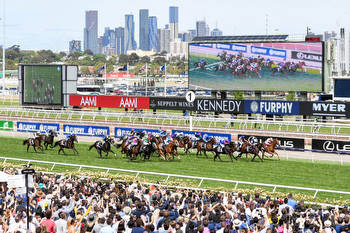 Melbourne Cup Field, Odds and Barriers