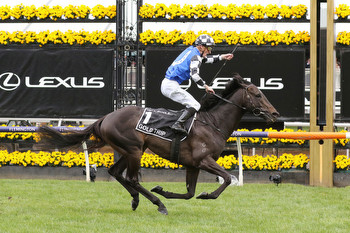 Melbourne Cup Final Field, Horses, Odds & Barriers