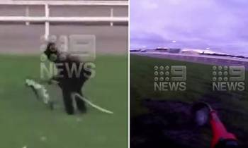 Melbourne Cup gambling protester sprayed unknown substance over race track before 3pm race