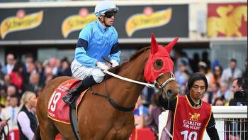 Melbourne Cup: Hawke's Bay hopes riding high