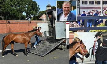 Melbourne Cup horse racing trainer Darren Weir’s million-dollar winnings are under investigation