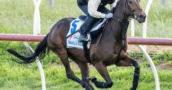 Melbourne Cup: Kerrin McEvoy chasing record-equalling 4th win