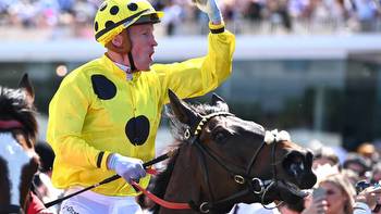 Melbourne Cup: NZ punters win big on Without A Fight at Flemington